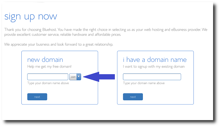 Bluehost 域名页面