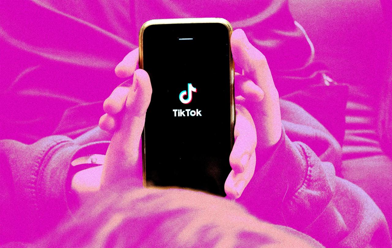 How to Download Your TikTok Videos | WIRED