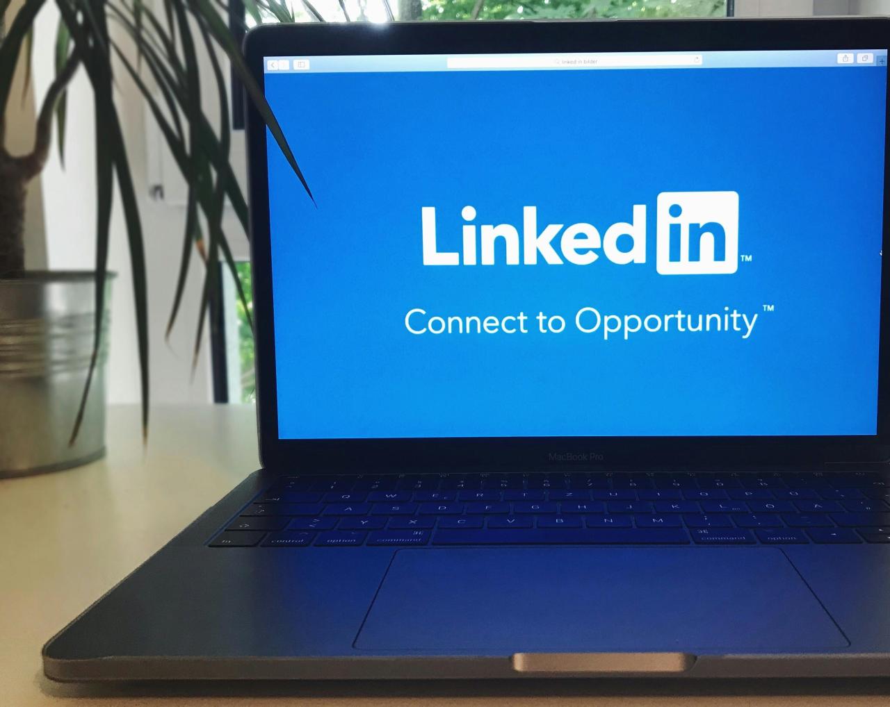 免费 ＃室内, linkedin, 事業 的 免费素材图片 素材图片