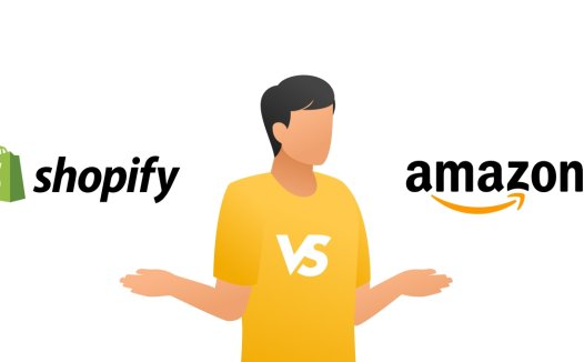 亚马逊和独立站的区别？平台卖家和做shopify有什么区别